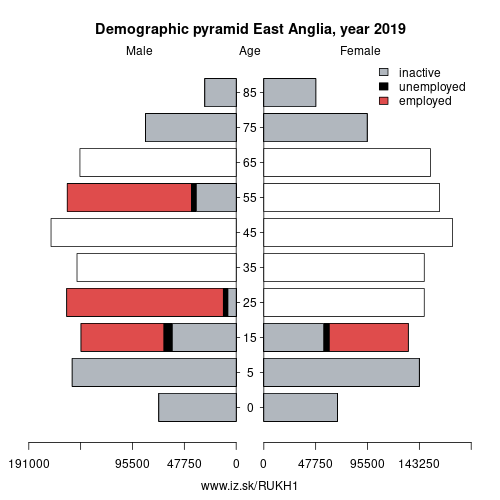 demographic pyramid UKH1 East Anglia based on economic activity – employed, unemploye, inactive