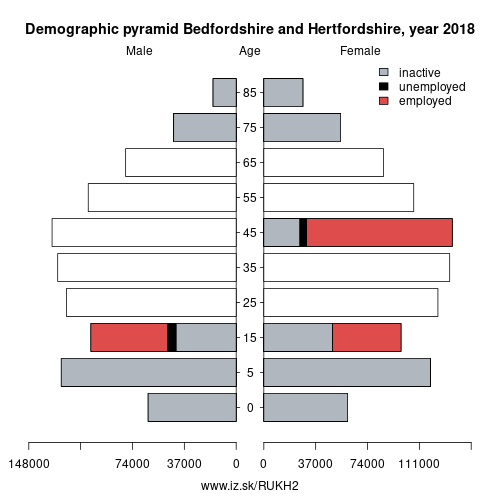 demographic pyramid UKH2 Bedfordshire and Hertfordshire based on economic activity – employed, unemploye, inactive