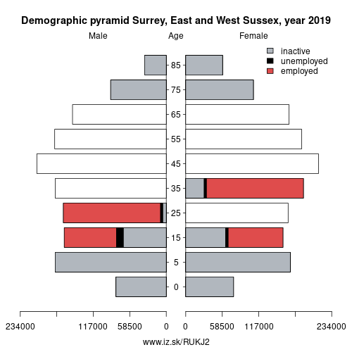 demographic pyramid UKJ2 Surrey, East and West Sussex based on economic activity – employed, unemploye, inactive