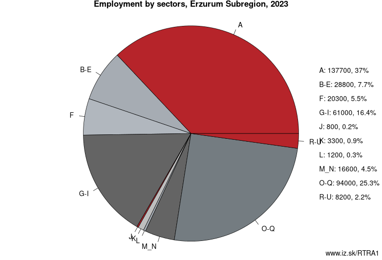 Employment by sectors, Erzurum Subregion, 2020