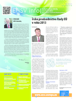 ecosoc ehsv info qeaa13001skc (pdf)