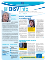 ecosoc ehsv info qeaa15002skn (pdf)