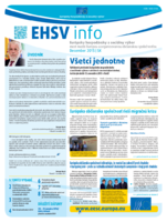 ecosoc ehsv info qeaa15009skn (pdf)