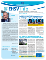 ecosoc ehsv info qeaa16002skn (pdf)