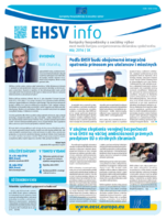 ecosoc ehsv info qeaa16005skn (pdf)
