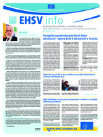 ecosoc ehsv info qeaa16006skn (pdf)