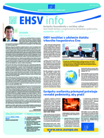 ecosoc ehsv info qeaa16007skn (pdf)