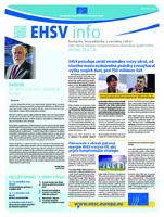 ecosoc ehsv info qeaa16008skn (pdf)