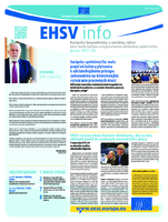 ecosoc ehsv info qeaa17001skn (pdf)