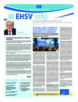 ecosoc ehsv info qeaa17002skn (pdf)