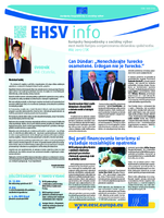 ecosoc ehsv info qeaa17005 (pdf)