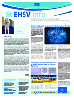 ecosoc ehsv info qeaa17007sk (pdf)