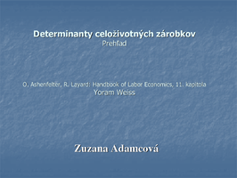 seminar seminar 13 determinanty celozivotnych zarobkov (pdf)