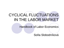 seminar seminar 14 cyclical fluctuations (pdf)