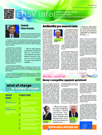ecosoc ehsv info qeaa13006skn (pdf)