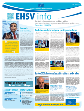 ecosoc ehsv info qeaa14009skn (pdf)