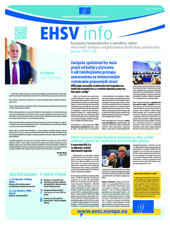 ecosoc ehsv info qeaa17001skn (pdf)