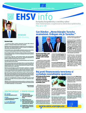 ecosoc ehsv info qeaa17005 (pdf)