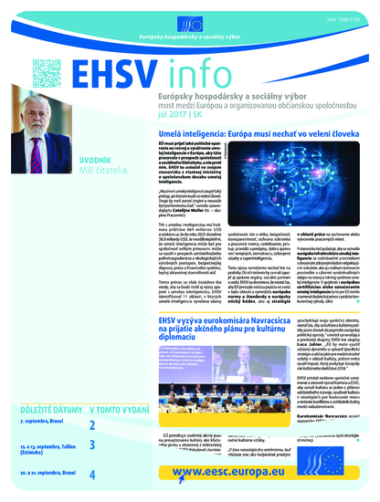 ecosoc ehsv info qeaa17007sk (pdf)