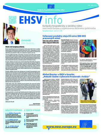 ecosoc ehsv info qeaa17008sk (pdf)